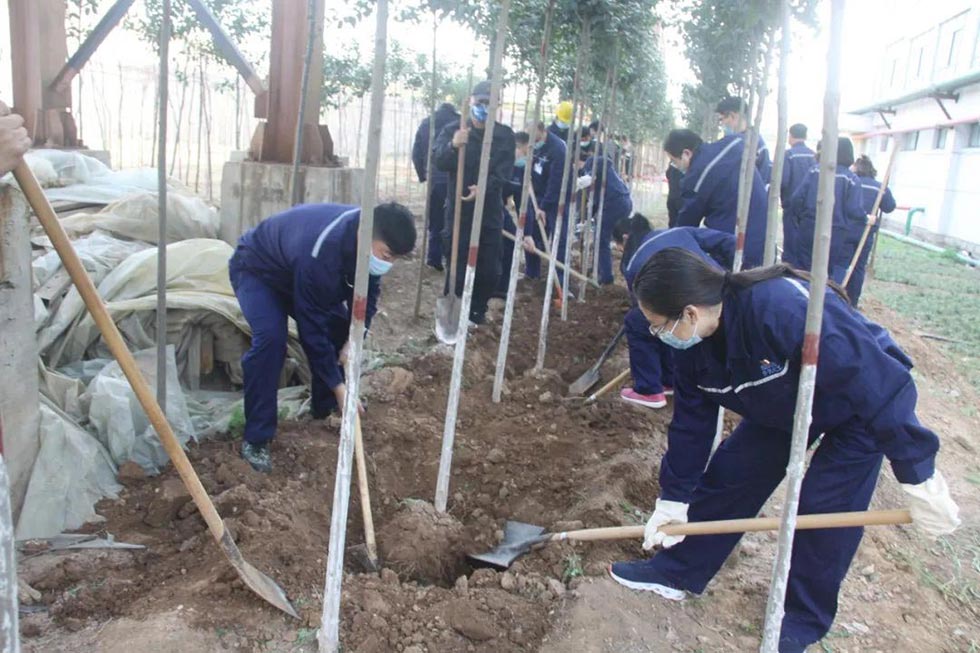 沖床廠區(qū)植樹(shù)